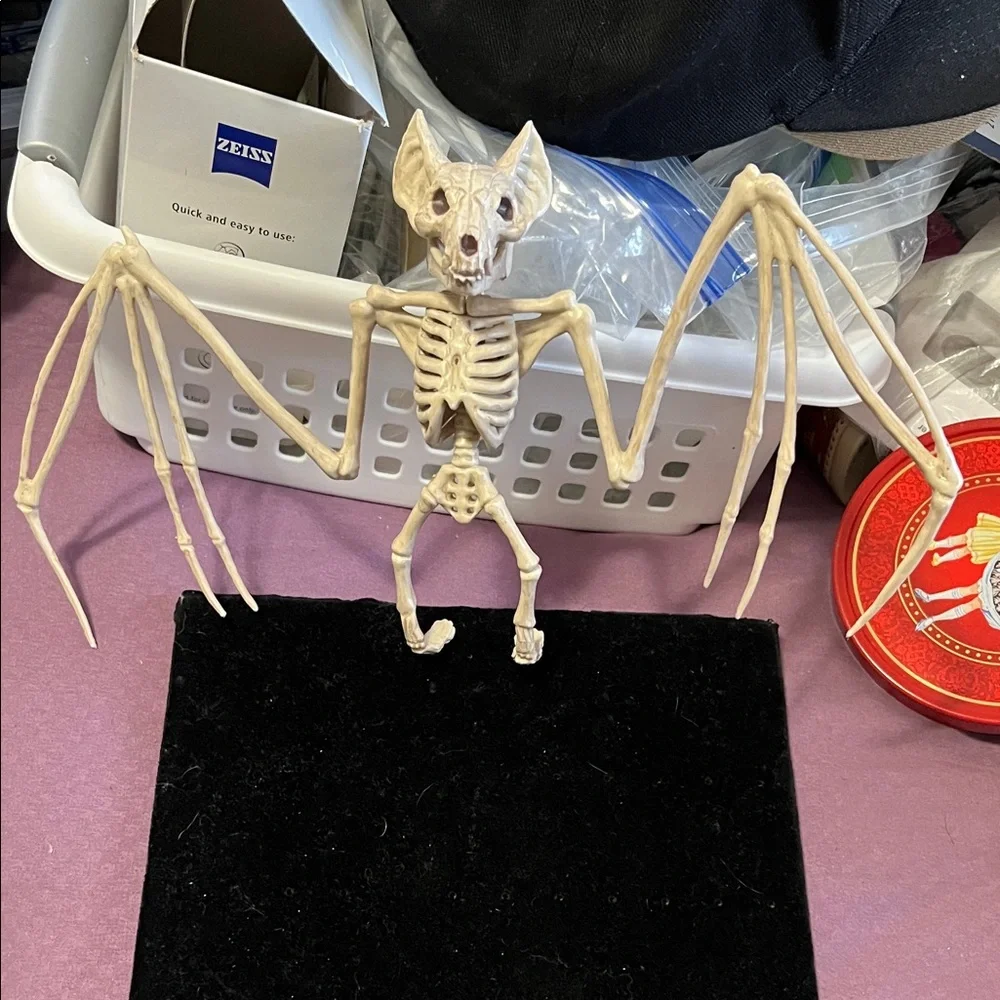 Natural Bat Skeleton Reptile Decor - Cream
